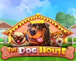 The Dog House